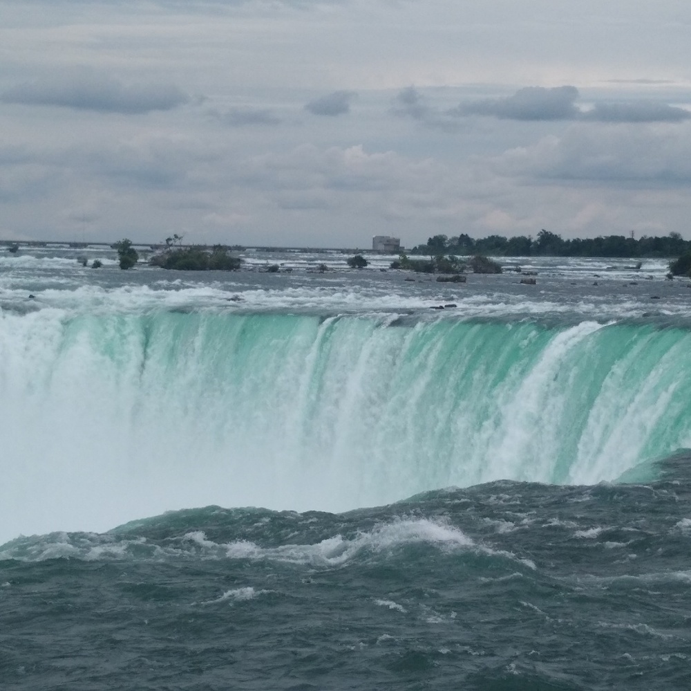 Meet your Posher, Sheila